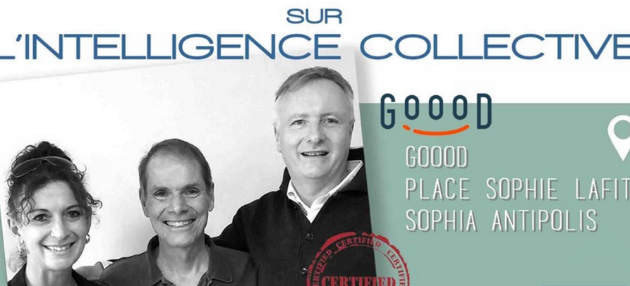 Intelligence collective Goood - Eric baudet